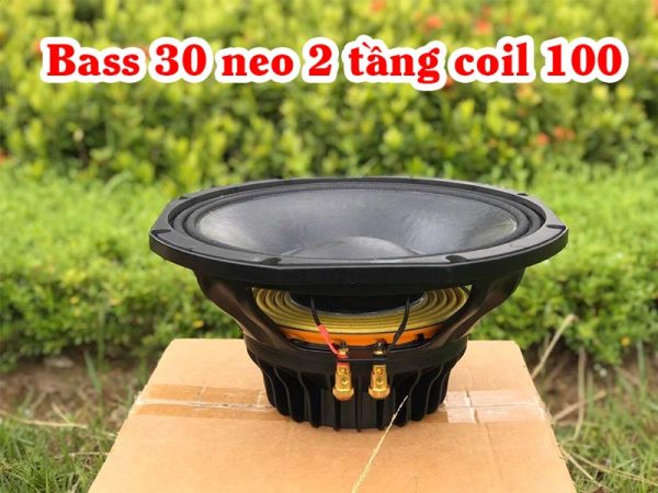 Bass 30 Neo Tang Coil 100