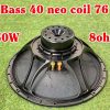 Bass 40 Neo Coil 76 6